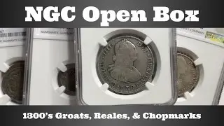 NGC Open Box - 1300's Groats, Reales, & Chopmarks