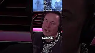 Elon Musk: AI Terminator Apocalypse?🤖 via @joerogan #shorts #ai  #elonmusk