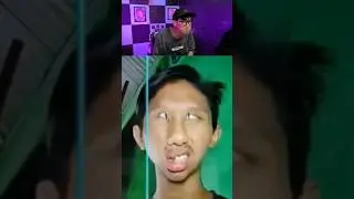 Try Not To Laugh Challenge 148 🤣