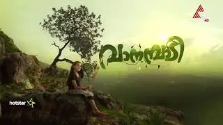 Vanambadi Episode 917