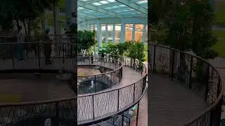 Glass House Botanical Garden in Dubai Quranic Park Al Khawaneej Dubai UAE #glasshouse #dubailife