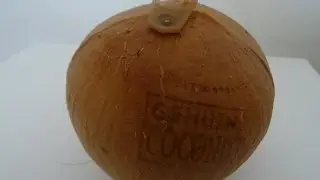 Absolutely Incredible - A Coconut with a Ring-Pull.....the fastest (& easiest) way to open a coconut