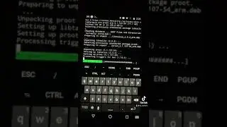 Installing Kali Linux on an android phone - Non root (Fdroid) part two