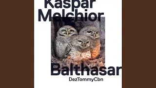 Nachtschattegwächs