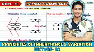 Принципы наследования и изменчивости | Лекция 10 | NEET 2026