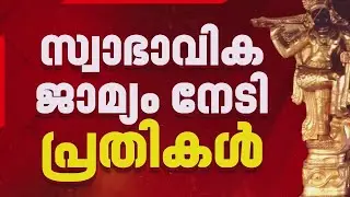 ശബരിമല സ്വർണക്കൊള്ള: പാളികൾ വീണ്ടും പരിശോധിക്കാൻ SIT | Sabarimala Gold Theft Case
