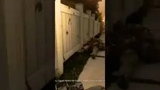 COD MW2CR Ragdoll Physics 1