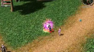 Metin2 US FREEKINGDOM Azerbaycanli 78lvl Archer Sin Critical Damage Test