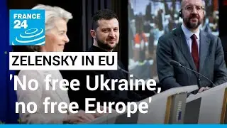 A free Europe cannot exist without a free Ukraine, Zelensky tells EU lawmakers &bull; FRANCE 24 English