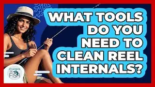 What Tools Do You Need To Clean Reel Internals?
