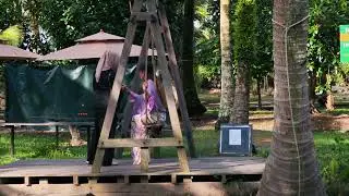 🌴Ye Eco Garden Cafe🌴 Sekinchan🌴适耕庄🌴椰.生态园咖啡馆 Ye Eco Garden🌴#cafe #malaysiatravel #sekinchan  #travel