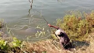 Professional fishing in Krishna river | catching kingsize rohu fish |with Single hook