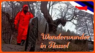 Geheimnisse der Natur - Eine Regenwanderung in Hassel