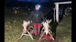 Moddi - Vi slakta SAU