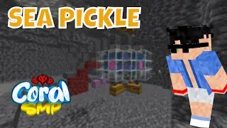 HO COSTRUITO LA MIGLIORE FARM DEL SERVER! - CoralSMP