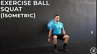 Exercise Ball Squat (Isometric)