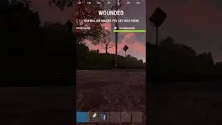 Alpha Wolf Moment