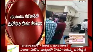 Snake in Guntur Government Hospital - Mahaa News