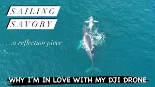 SS: A compilation of DJI drone footage shot while sailing the Baja Coast, Mexico.