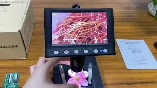 Hayve 4.3'' Digital Microscope 1000X Coin Microscope 1080P Video
