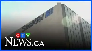 SaskTel to raise internet rates in March, joining other Sask. Crown corporations
