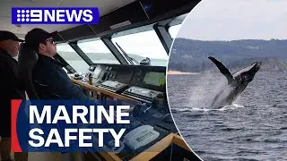 New technology for Sydney ferries helping protect marine-life | 9 News Australia