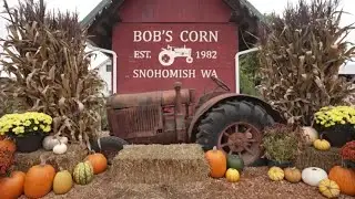 Bob's Corn Maze - Tour with Dale