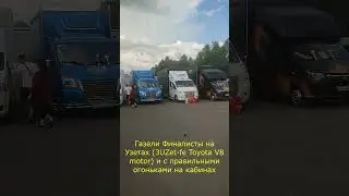 Это Самые Лучшие Газели в Мире !