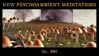 New Psychoambient Meditation No. 001 (Darkambient Drone Soundscape)