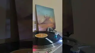 River Flows Reverse - Seconds -2026- vinyl