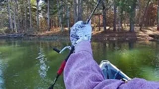 I got a 2nd chance on a nice bass