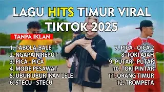 Lagu Timur 2025 Hits Tiktik & Viral I TOR MONITOR KETUA TABOLABALE