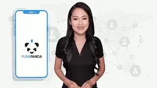 Punk Panda App Oct17th Chinese - Zen8x Global Team