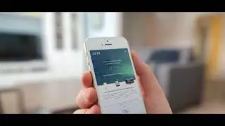 ACN Reviews