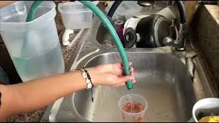 Proyecto del sif&oacute;n 