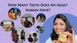 How Many Teeth Does An Adult Human Have? | Ft. Dr Anusha Chadhive