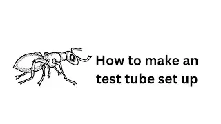 How to make test tube set up 101 (for ants) #antloveforever #ants #antkeeper #antkeeping