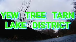 YEW TREE TARN