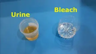 TOP 5 HOME GENDER TEST METHOD : SALT, TOOTHPASTE, SUGAR ETC..