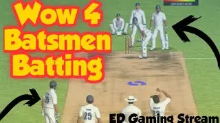 Real Cricket 20 Funny Bugs