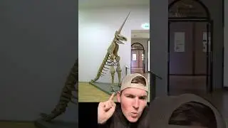 Худшая реконструкция окаменелостей?🥴