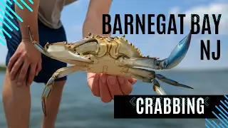 From Trap to Table: Blue Claw Crab Catch, Clean, and Cook