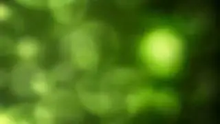 What in the fuck was that!?