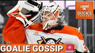 STUNNED: Luk&aacute;&scaron; Dost&aacute;l AND Petr Mrazek Injury SHOCKS Team, Ducks Forced to RETHINK Season Strategy?