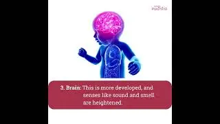 7 Month Pregnant - Know the Baby Development