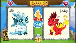 NEW BREEDING: Flame Dragon & Ice Dragon | Dragon City 2019 😱