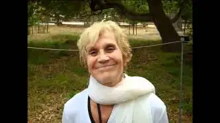Step into Authenticity with Mary Lynn Colosimo