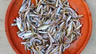 Rare Fish for Increase High Blood | Healthy Village Fish Recipe Prepared by Grandmother