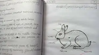 KERALA PLUS ONE & PLUS TWO ZOOLOGY PRACTICAL RECORD.