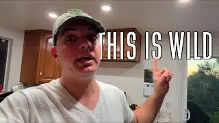 This Story Got WILD. (Behind The Scenes of The Green Miracle)